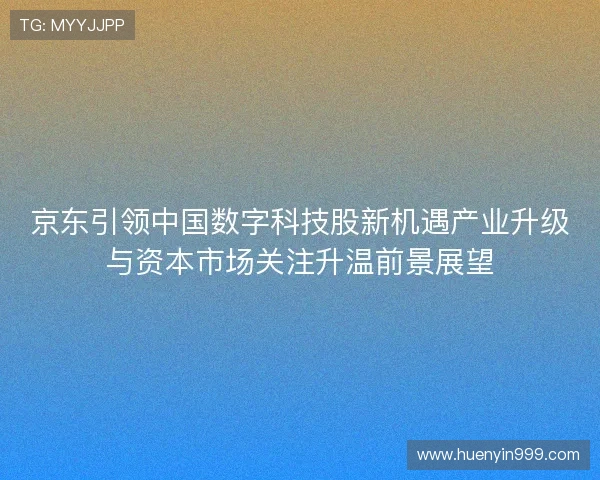 京东引领中国数字科技股新机遇产业升级与资本市场关注升温前景展望